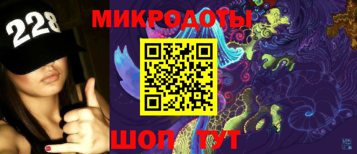 Галлюциногенные грибы Psilocybine cubensis Ухта