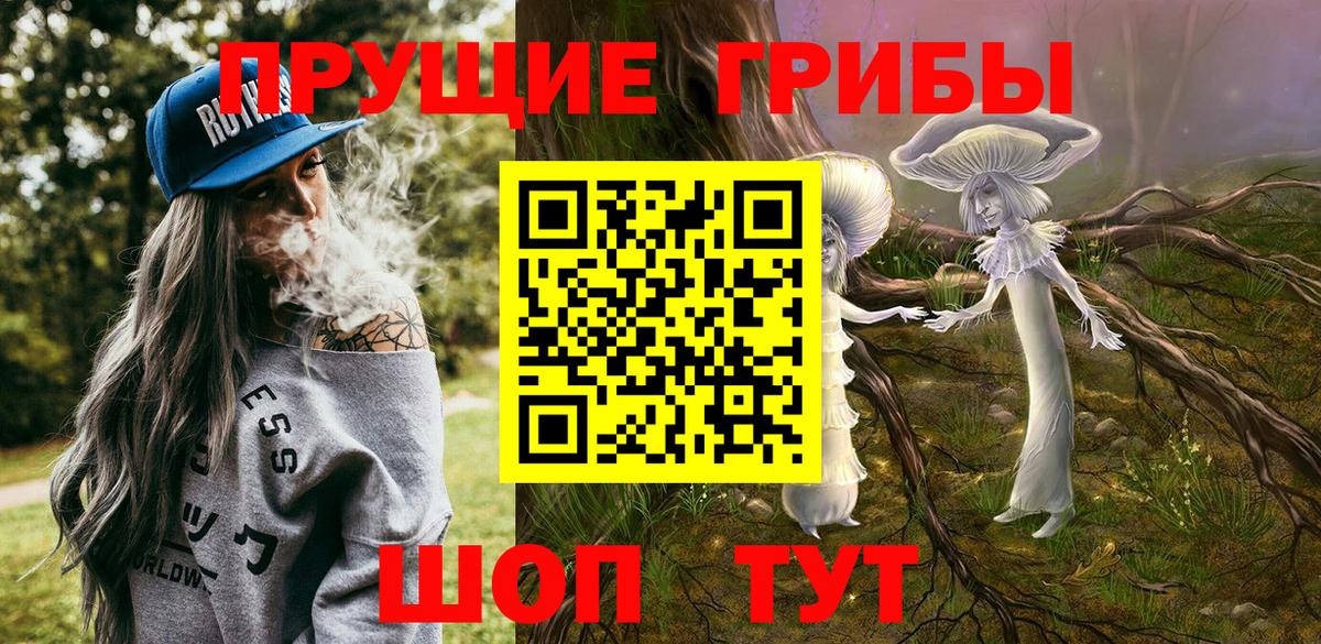 Галлюциногенные грибы Cubensis  Вход с VPN  Ухта 