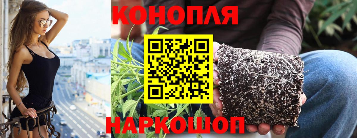 МАРИХУАНА OG Kush Ухта